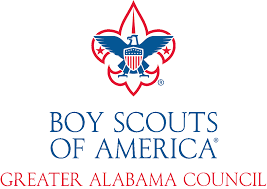 boy scouts logo